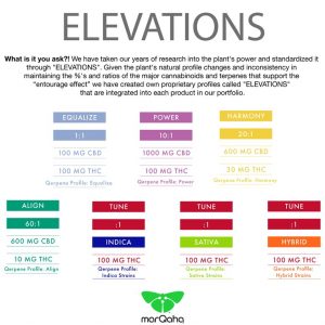 223918_Elevations-for-Leaflink