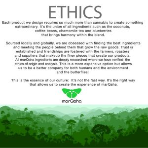 223919_Ethics-for-Leaflink