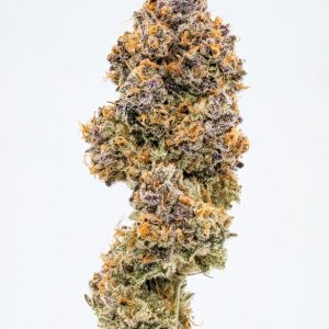 239401_Sugar_Cone_Nug_Shot_Dec2019-1