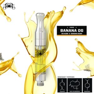 249381_BANANAOG-1×1-_IG__-_A