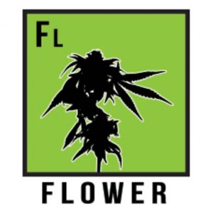 255161_flower-icon