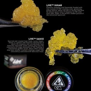 260271_255311_LIVE-5×7-BACK-_WEB_