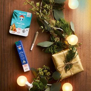 267690_Holiday_Lifestyle_MistleToeHaze_Lights_Square_lightleak