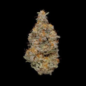 271913_WoodsNug 271913_WoodsNug