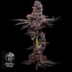 275059_Breath_Mints_WatermarkW 275059_Breath_Mints_WatermarkW