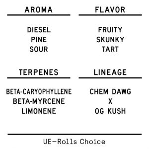 280978_ue-rolls-choice-profile-2