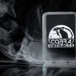 281090_shattercardcase_Cq3TOVG