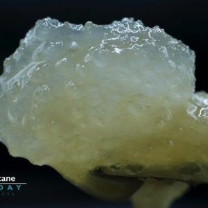 239199_Slurricane_2-23 239199_Slurricane_2-23