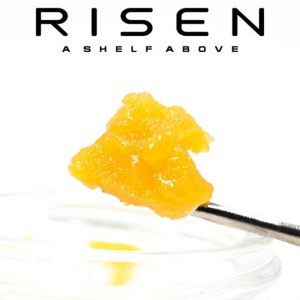 249826_risen_extract_macro